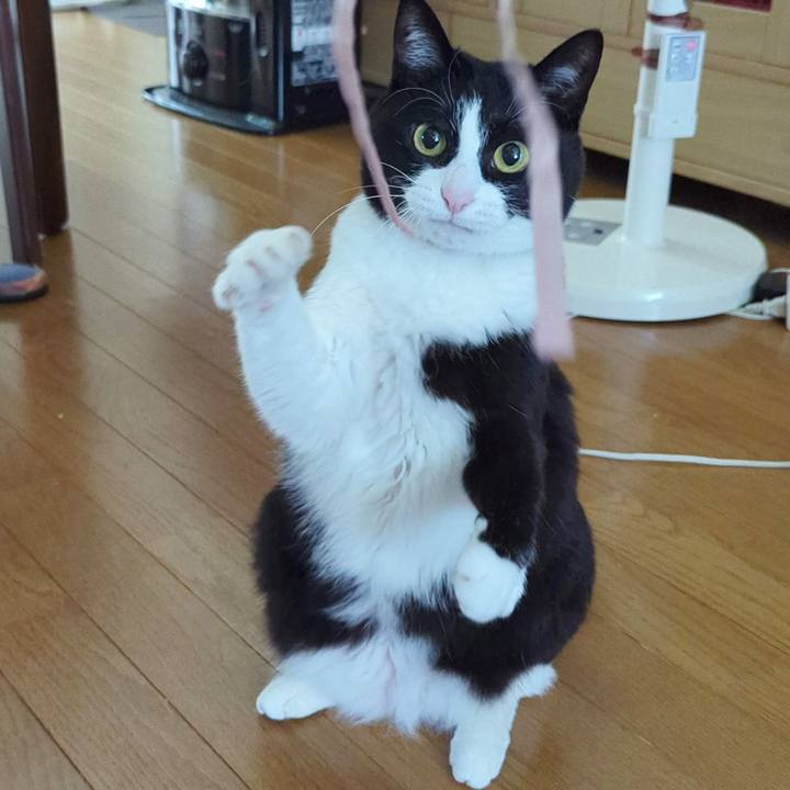 13e73fa8 776a 4c76 bf21 df31d3e44b5a 1716012641150