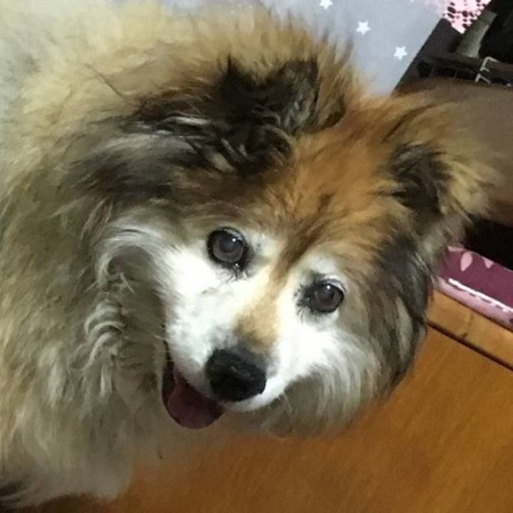 13e763c1 a2e9 4aac be53 51f8f7c66752 1646428919412