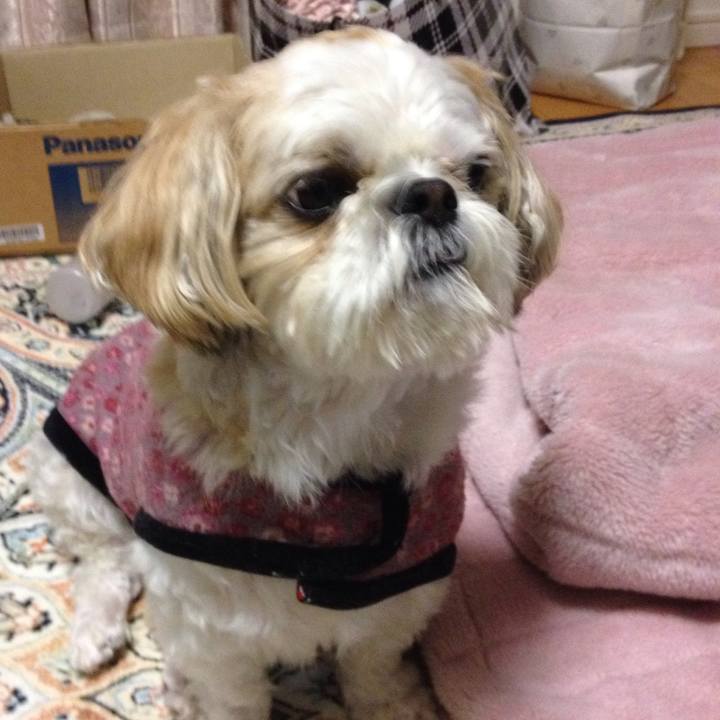 13e771fd 9055 49f5 8edb e7b5ff060927 1516917592455