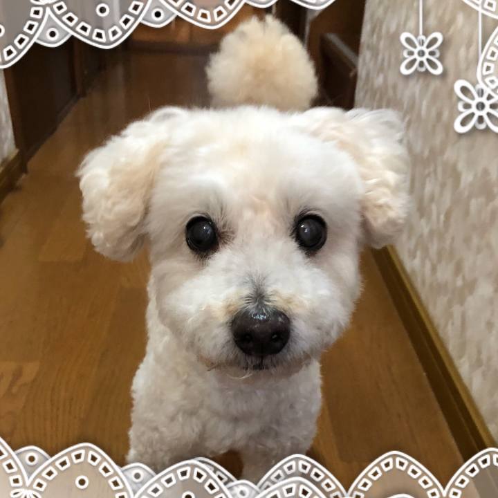 13e7adce 4f83 4e8b ab63 627644414e7f 1526277754036