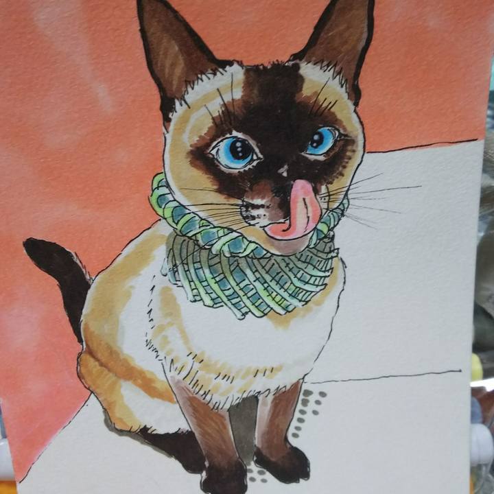 13e837ae 3548 459a 8d3f 271de39729f4 1545566101867