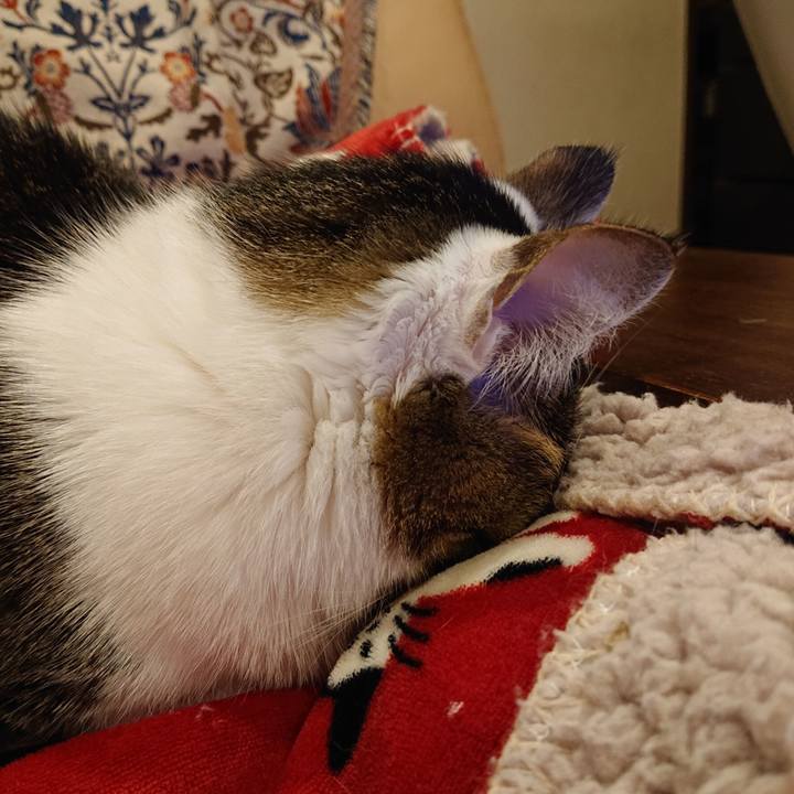 13e84ae4 e7a8 4fc8 876a 974e900310a2 1671937372932