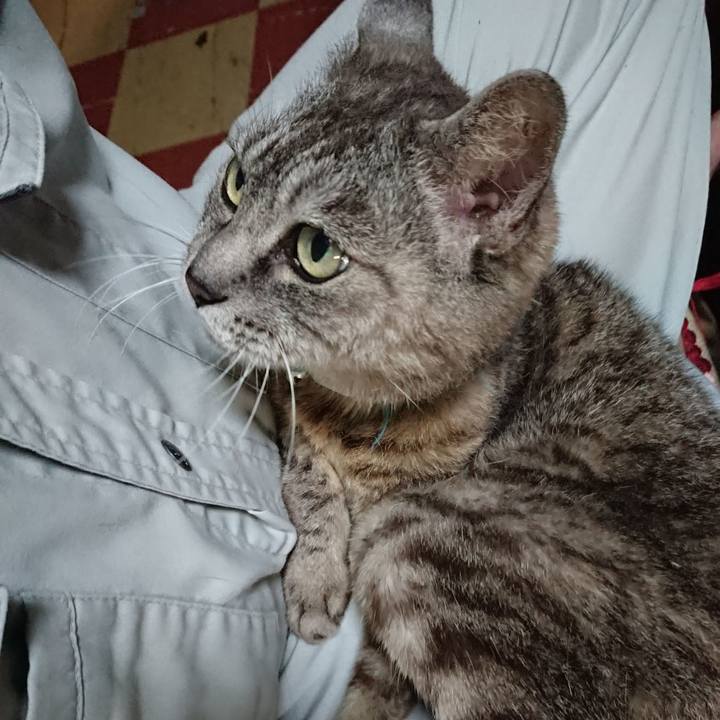 13e855c0 f9f4 4766 ae59 dae451d2cf71 1567071991162