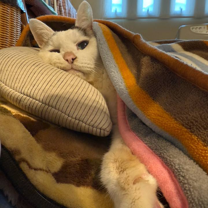 13e8844f ecef 4121 9606 b461e1b7ff32 1764640932292