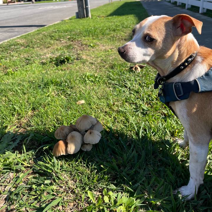 13e88559 a96d 4b0e a633 b5d6cf3cf315 1766908348112