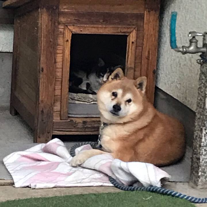 13e8a6a8 8433 4621 9a0b a8071cdfc03e 1559087621140