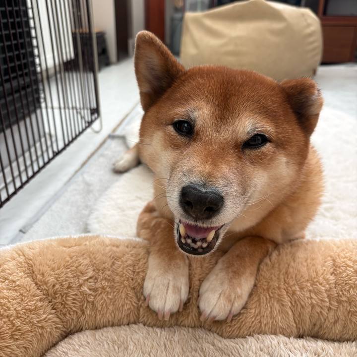 13e8c3d4 c28d 43e4 8e6c 076990d1088e 1768009192814