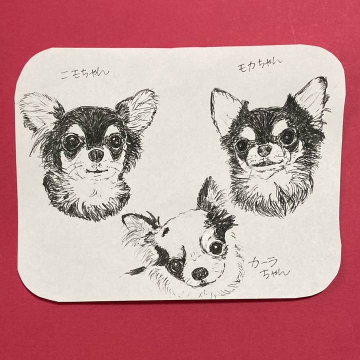 13e8ea4c ba98 46df a2bb cacd3b0fd7e5 1618879604299