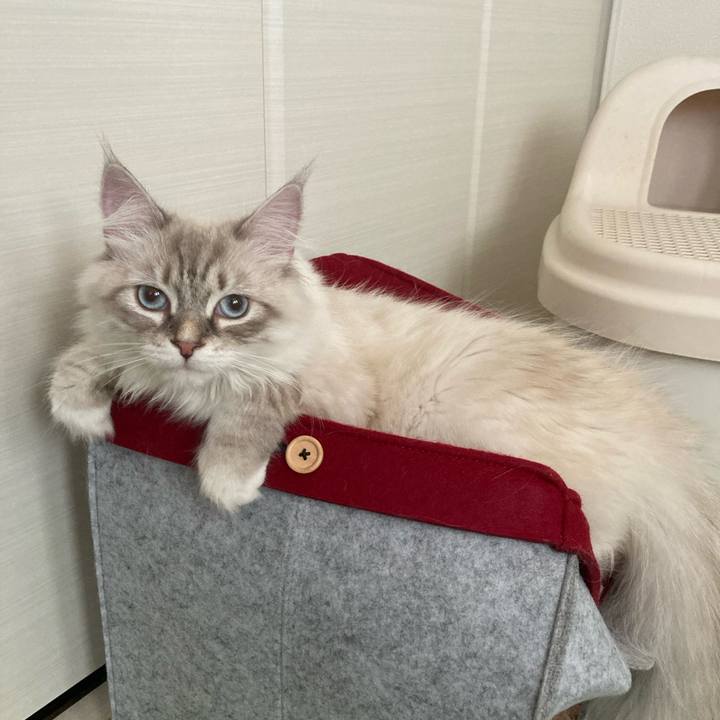 13e9039a dead 442c 8dea 4ac319c0aaf2 1688822851918