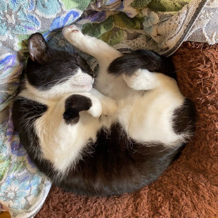 13e9094f 3ffa 45b0 8190 27d46dfa0a5a 1615290666404