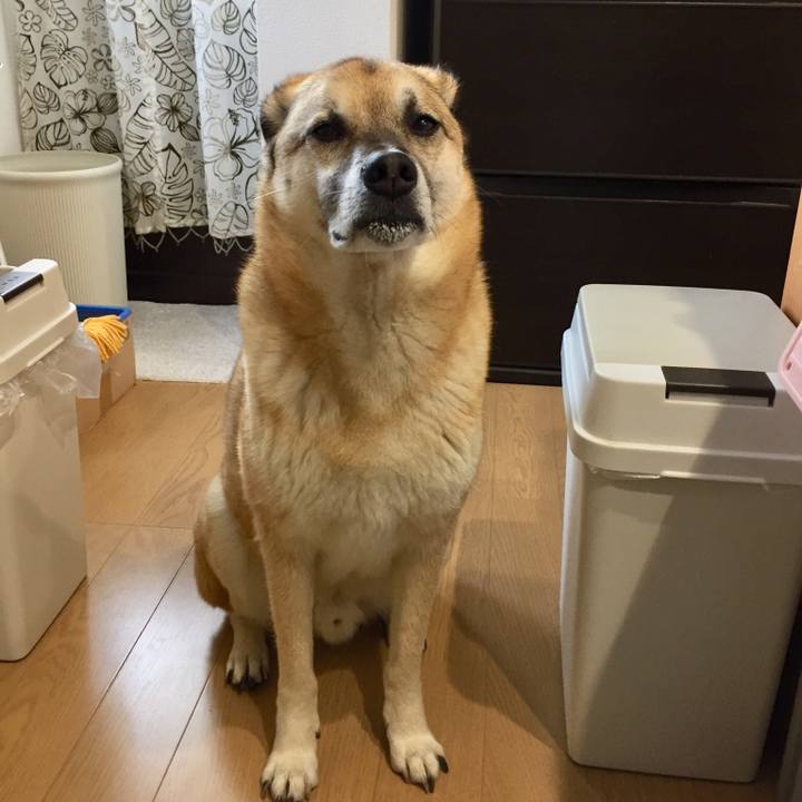 13e91c87 31ea 405d af8a 073809aedaa4 1524438254913