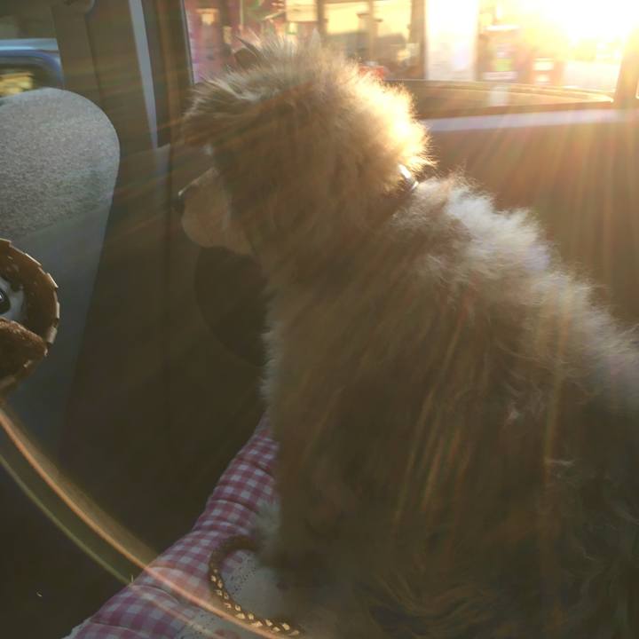 13e948ae b4a7 486e 9aa3 38ad545a231c 1615232091382