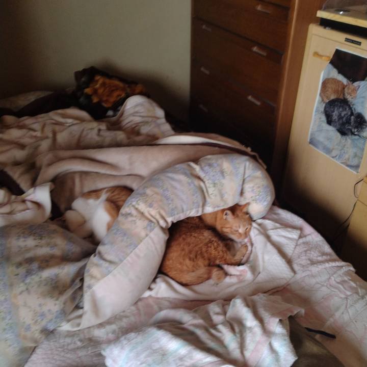 13e9b75d f17f 4124 93b8 0fbfca91634d 1741488900481