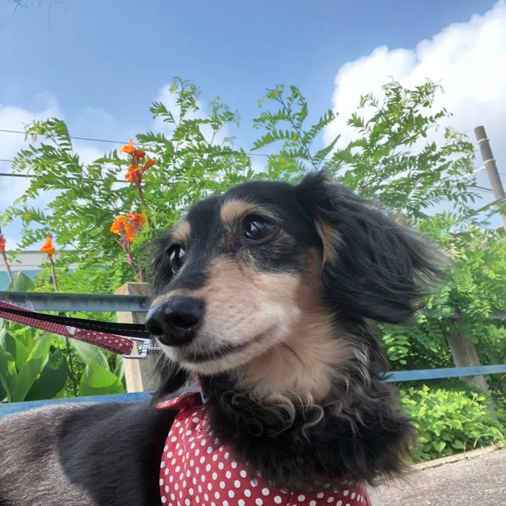 13e9e140 c0c4 43a9 9808 1f1c44a2f12f 1563322778038