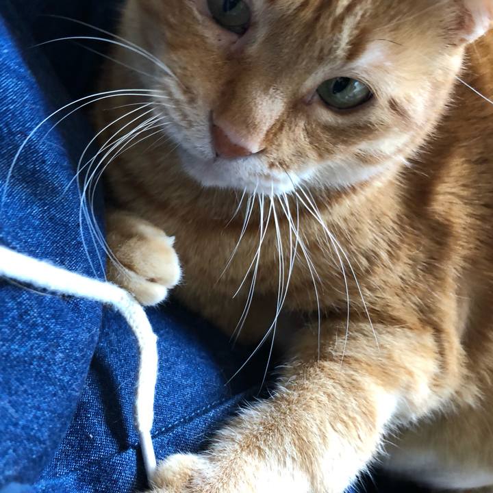 13ea0b88 f8e4 4b1a a208 614a5de504c8 1651549715339