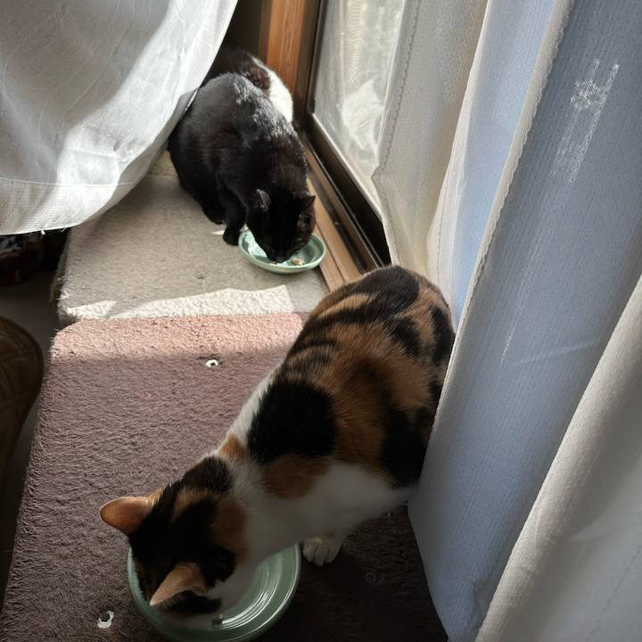 13ea139d 6f43 46e0 b414 bf15922e2fd3 1674094905939