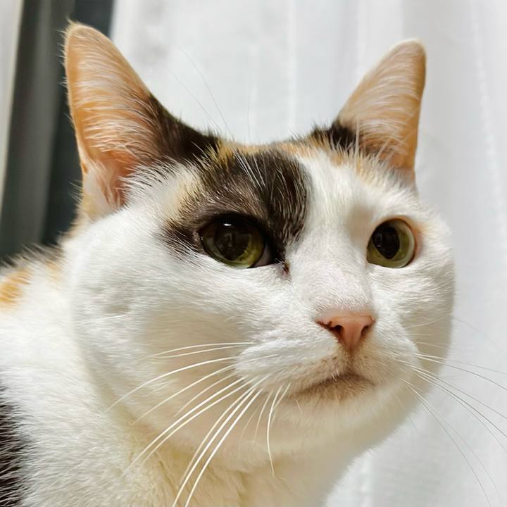 13ea607c f51f 47b9 a466 d822295fa040 1682989487739