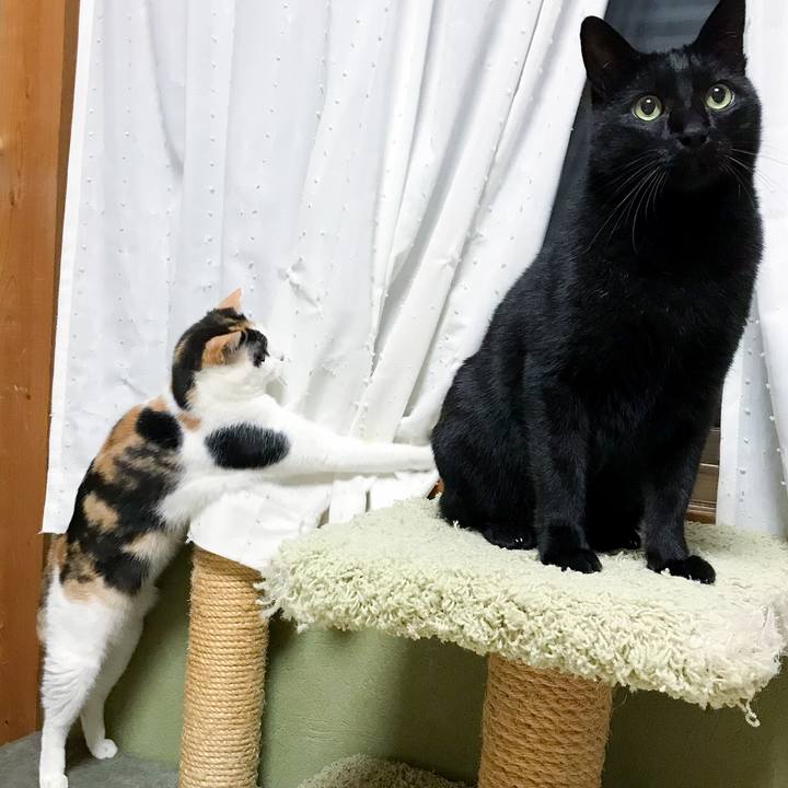 13ea64ca 4a20 4c33 8a29 1eb0cb3b849f 1514939603293