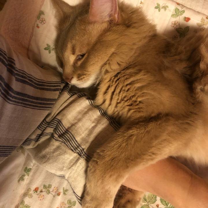 13ea6968 7002 41f2 a0f8 a68d8c81dad2 1589611884261