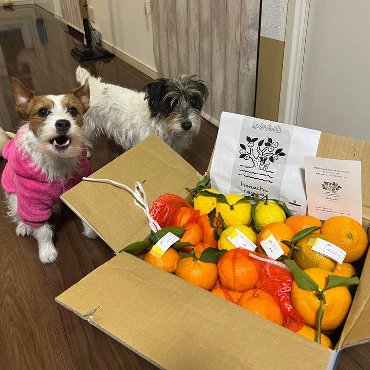 13ea7c91 1d2d 4a5f a120 4ade92ba679f 1770114816082