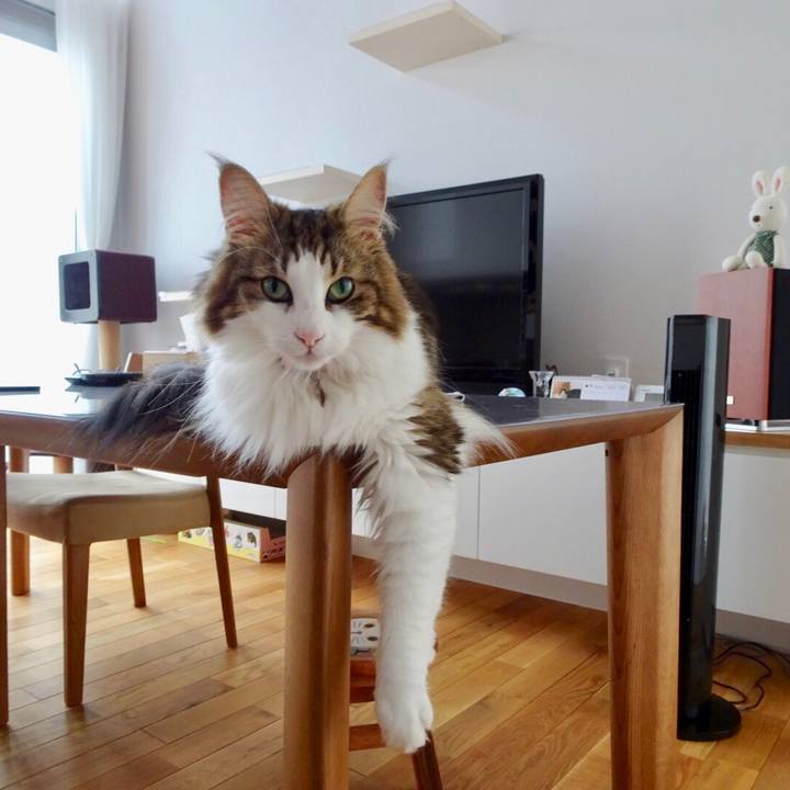 13eaac7e fc01 452d 88f2 8dc702cb8b11 1535759905967