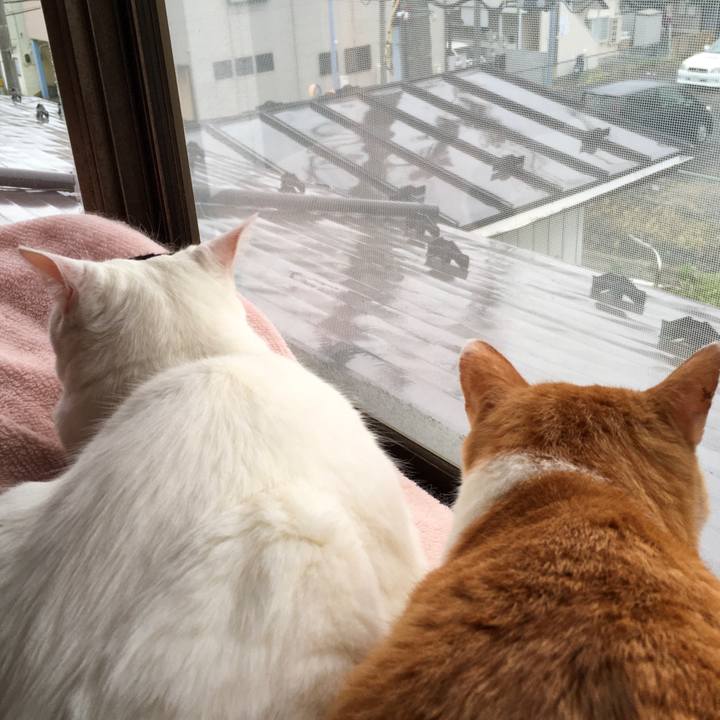 13eaf7ff f936 465c b858 aacbc3e4b796 1572921699456