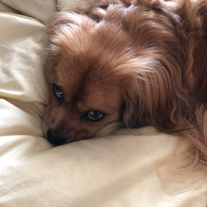 13eb2b33 429a 446b be1c 6181ff4ab180 1572387548702