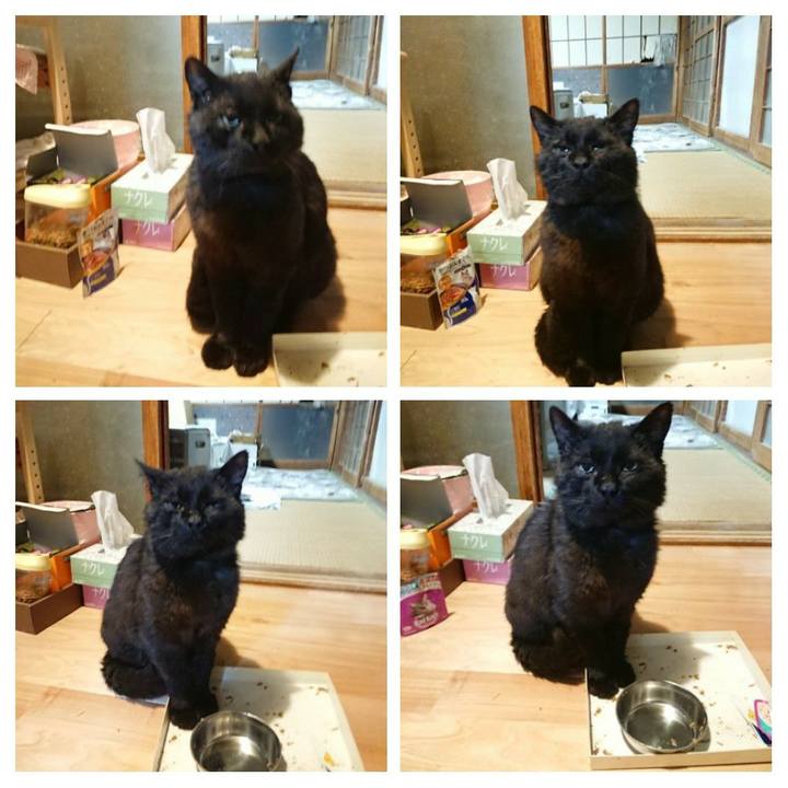 13eb3292 2bef 4589 b344 7881b3809891 1621953030812