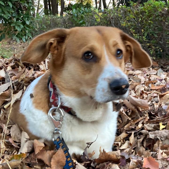 13eb36db a43a 490a 9394 bbf7a183a669 1668814657610