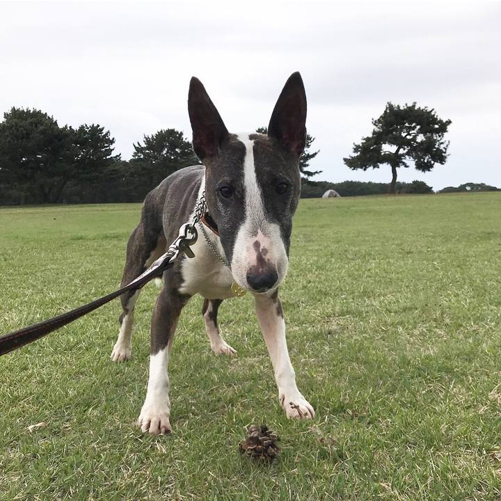 13eb5484 7ea4 46b1 80e6 4a4ae1e55063 1523755544251