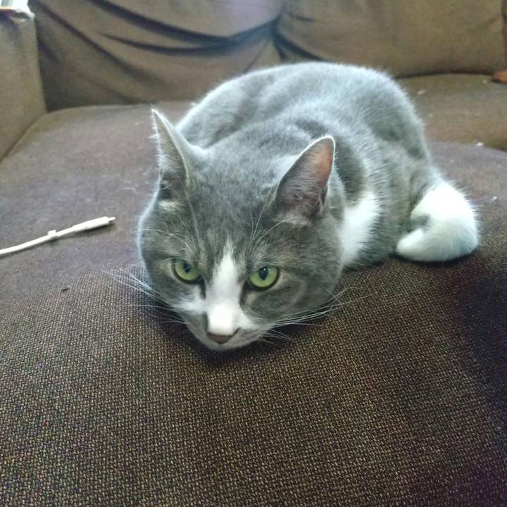 13eb7976 a12d 4fd6 bdaa 0bf1b8223480 1719743919209