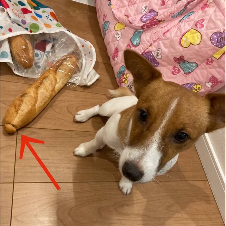 13ebea44 83d3 4a38 ba7e ce8c5ba1367f 1630757176055