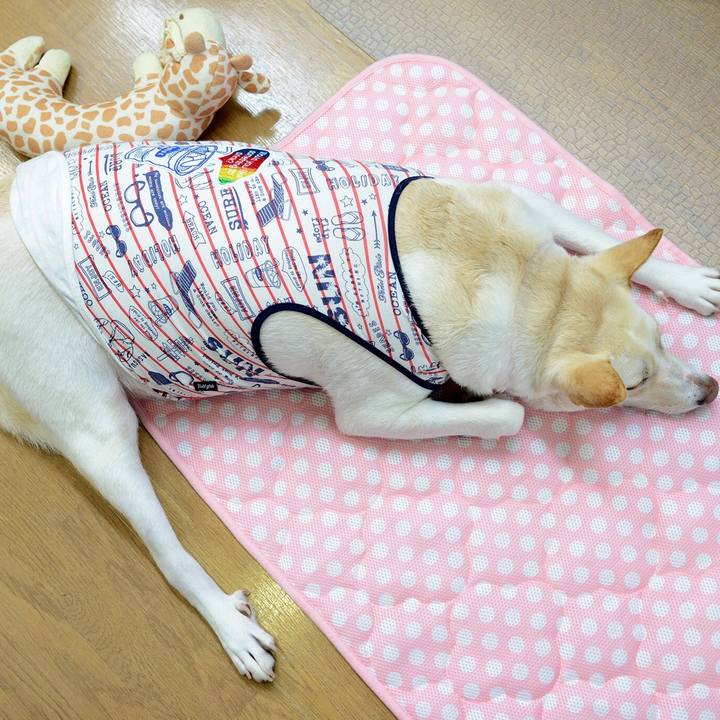 13ec003f 8f18 4a2b af9e 4e505dee45cd 1532869410808