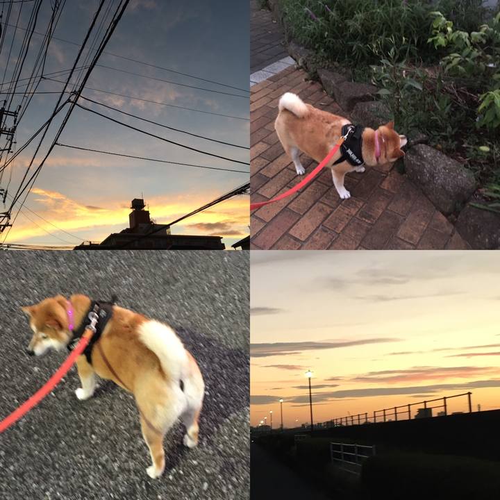 13ec081e f566 42f8 b390 10cbdbfb6a24 1599558260476