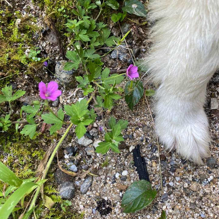 13ec1ba6 9e49 4207 9a31 a08f1d9dda56 1630308881575