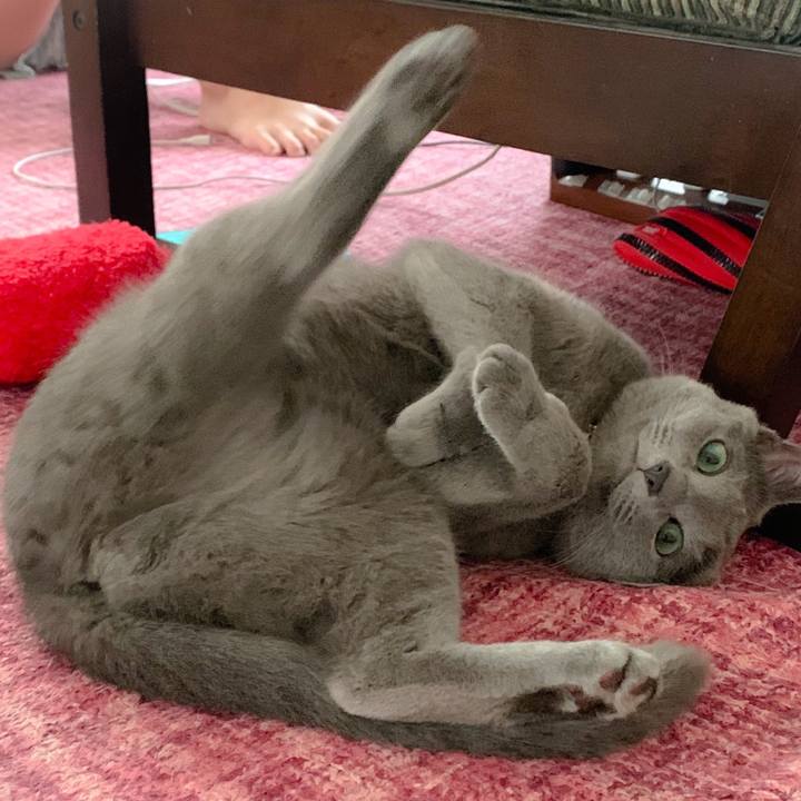 13ec84af d2e9 45dd a06d 2148ecc31763 1595638467426