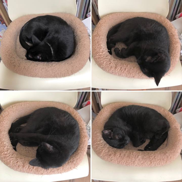 13ec877f e3e8 40cf b419 c3c3cce94588 1619700188906