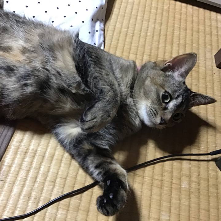 13ecaebf 3f13 4d65 9c3e 18bec9db5d28 1586170485854