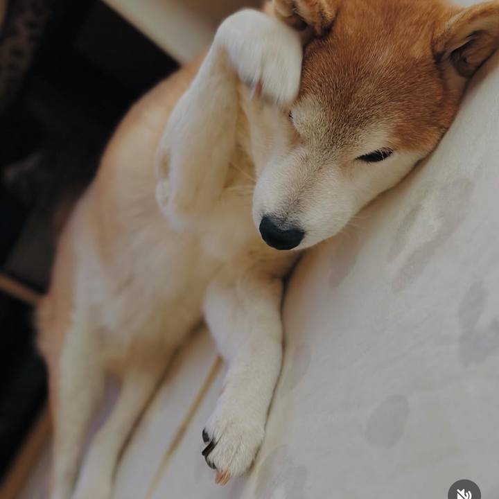 13ecb988 2eb1 41c2 a564 a6498b9b21fa 1743505749241