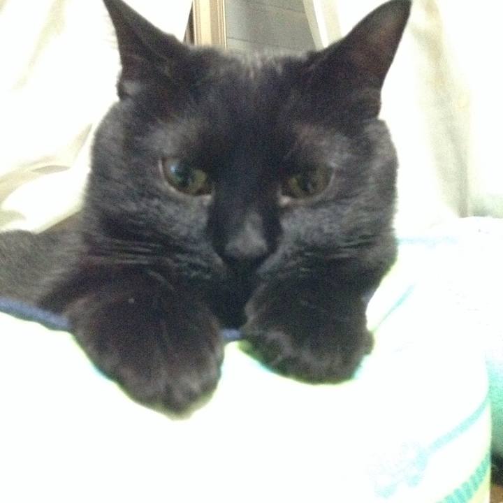 13ecd20a 766d 44e8 af37 02b4a949e304 1524746175893