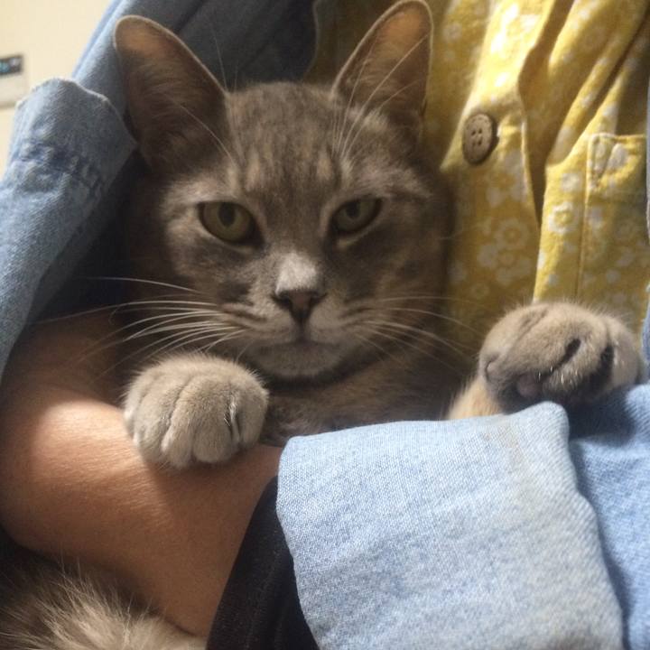 13ed1827 9a66 415d 83a9 4525de40d803 1516634488676