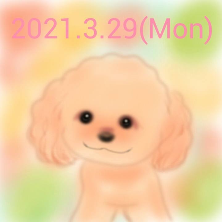 13ed1eb6 df47 4710 9f9a 9ddd59d63a91 1617017469720