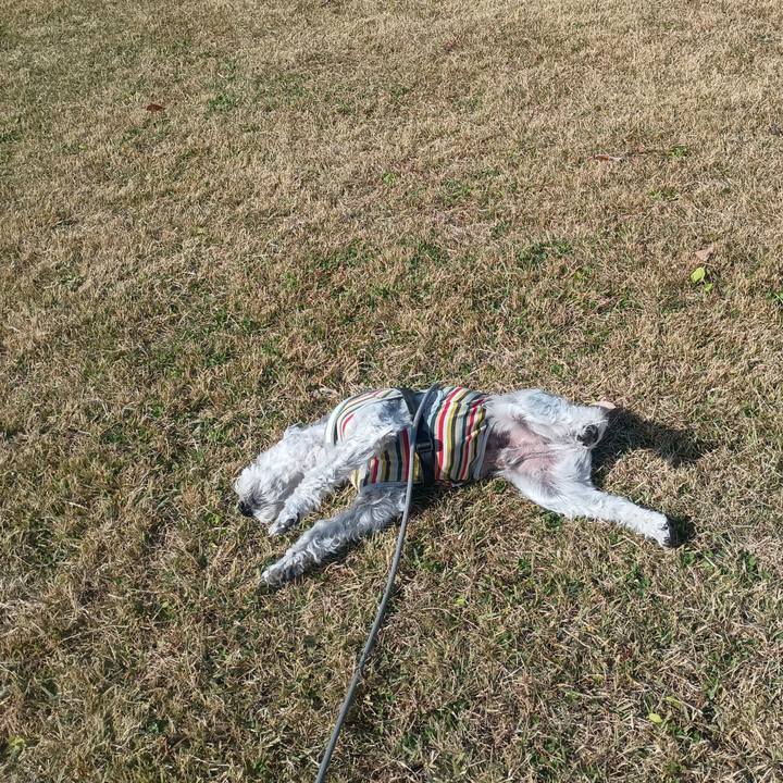 13ed39a6 76cd 48ca bdf2 3aef447e257c 1763980537189