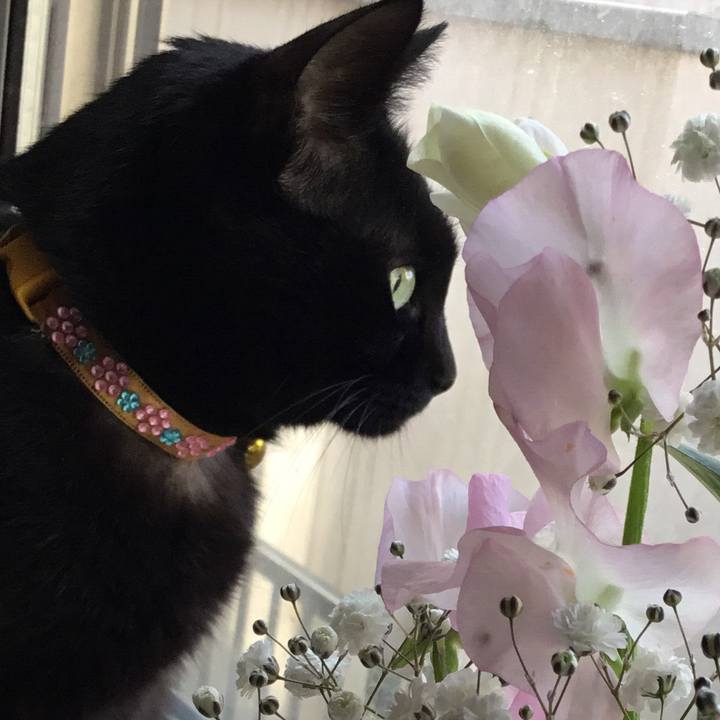 13ed63e0 7a5b 43e7 a570 ea9bf0b148f4 1763785931985