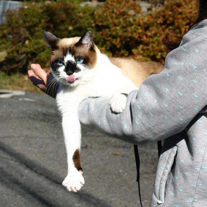 13ed6c66 c738 46f1 a774 716dea7f7dac 1513694921845