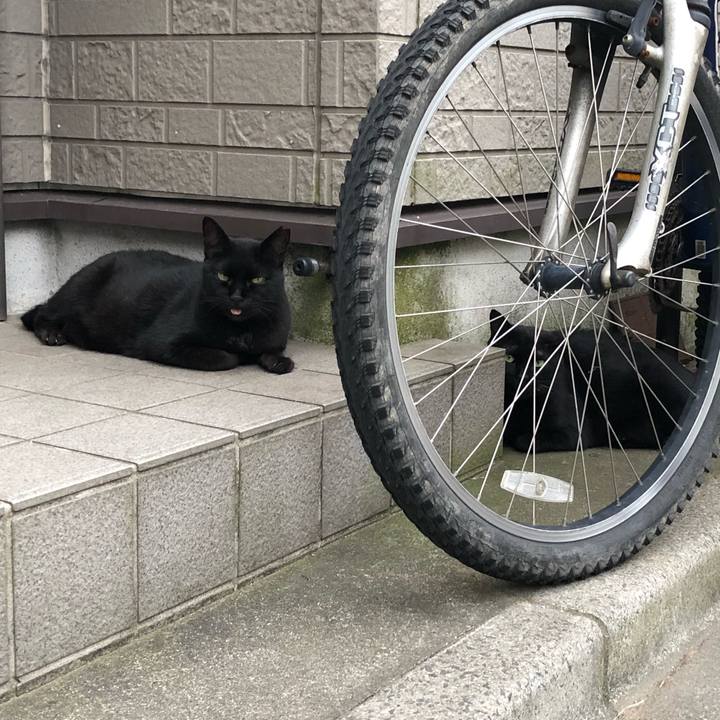 13ed6e95 874f 47f9 8f31 17698dd48f25 1535775226740