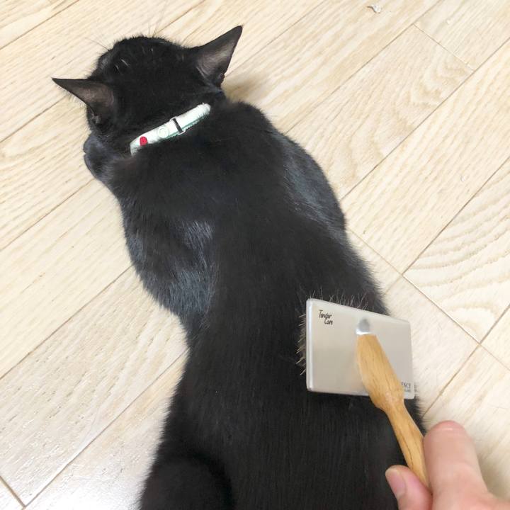 13ed7040 7d36 4d43 89b4 e9d29c6cd604 1591711293810