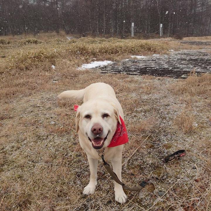 13ed906d 87b8 437e bcb5 63492904d299 1768112568054