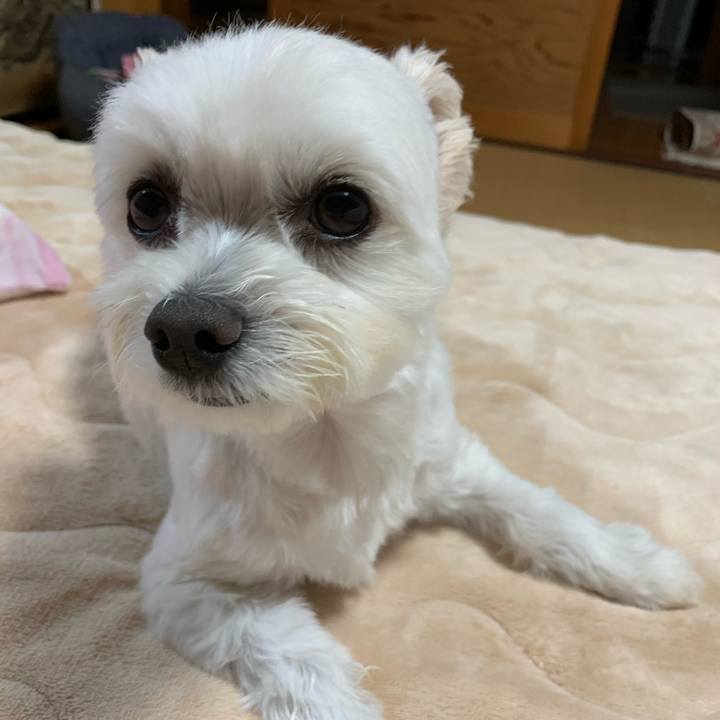 13ed955a 1398 4cef 91cc 8c7008c1f422 1602499735939