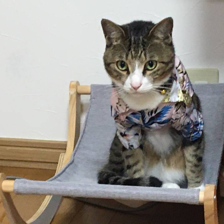 13ed9789 0a68 4dee 9020 7dded080f1e4 1694212208898